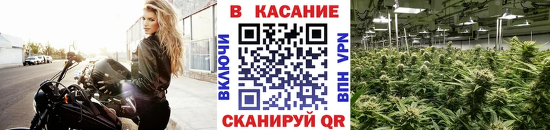 Наркошоп купить ГАШ  А ПВП  АМФ  МЕФ  Каннабис  Cocaine  Новозыбков
