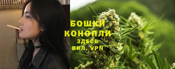 spice Касимов
