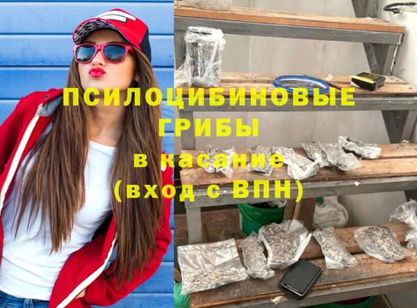 spice Касимов